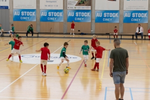 _MG_2626-Avec accentuation-Bruit.jpg